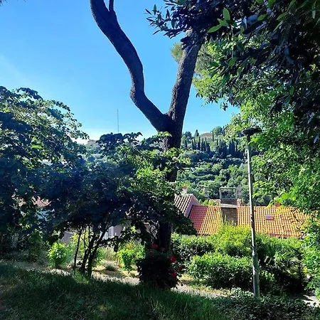 Apartma Belin With Garden And Private Parking Piran Exterior foto