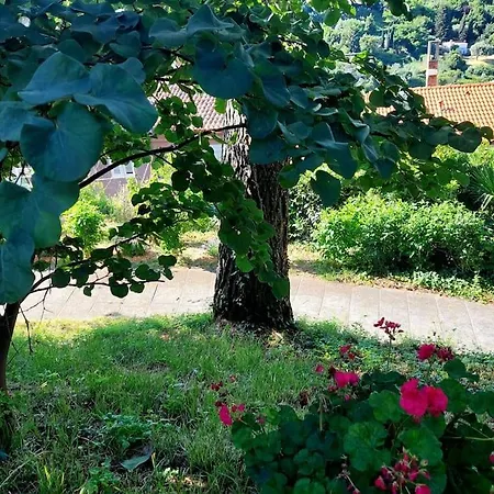 Apartma Belin With Garden And Private Parking Piran Exterior foto