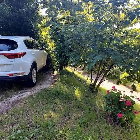 Apartma Belin With Garden And Private Parking Piran Exterior foto