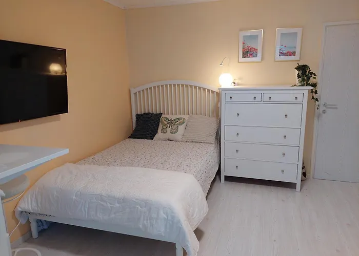 Apartma Belin With Garden And Private Parking