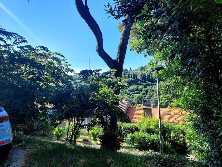 Apartma Belin With Garden And Private Parking