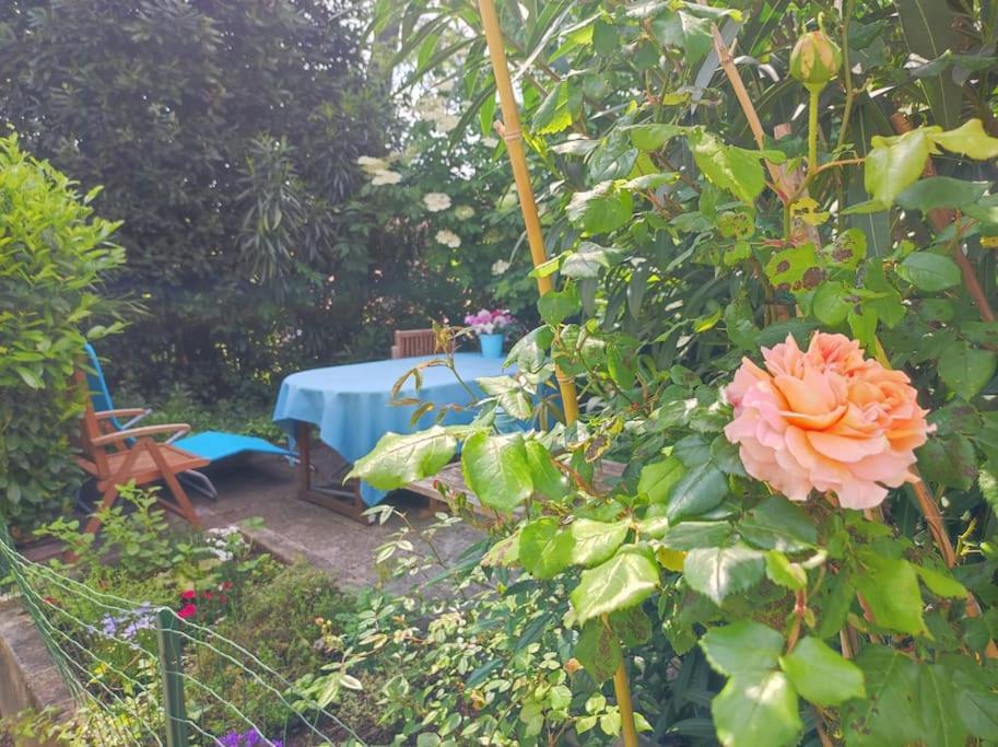 Apartma Belin With Garden And Private Parking *
