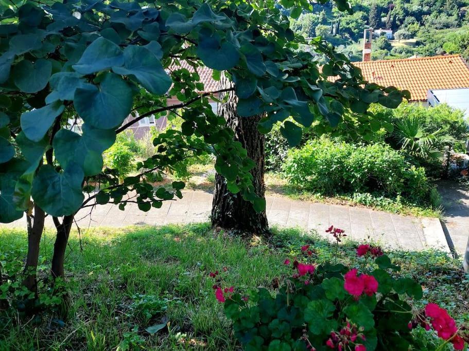 Apartment Apartma Belin With Garden And Private Parking *