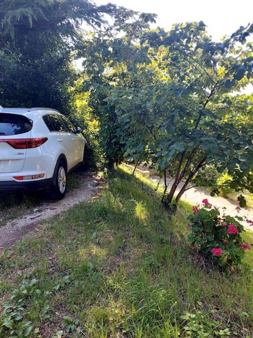 Apartma Belin With Garden And Private Parking *