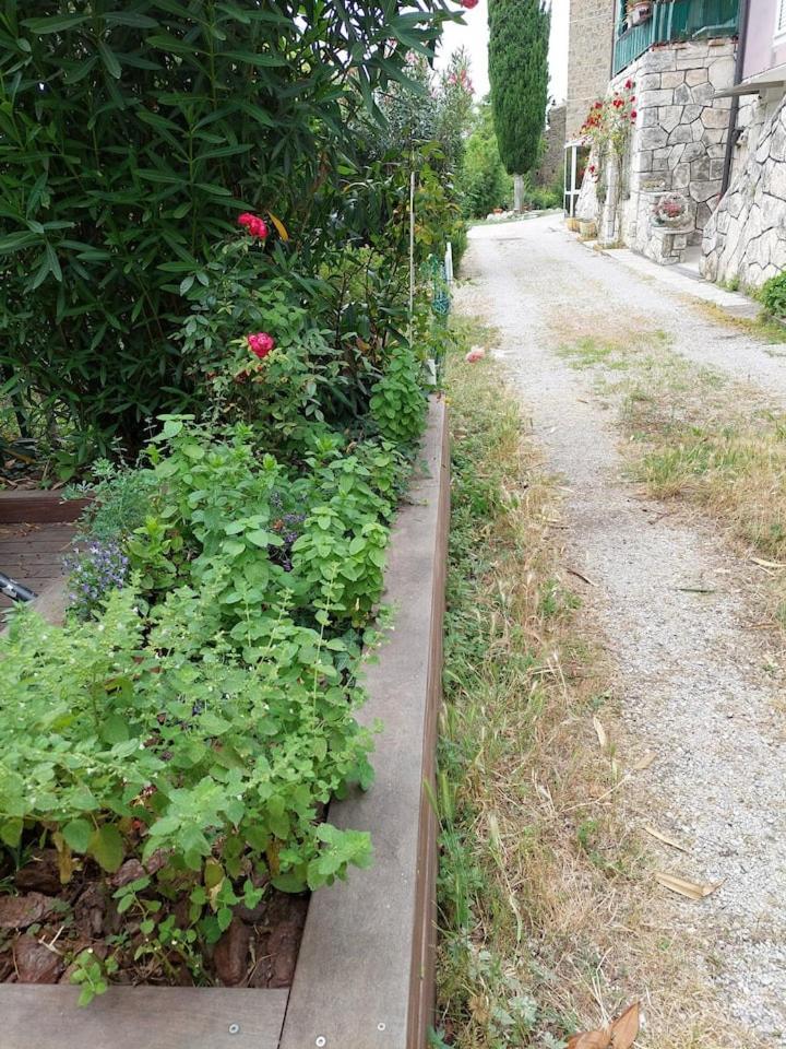 Apartma Belin With Garden And Private Parking * Piran