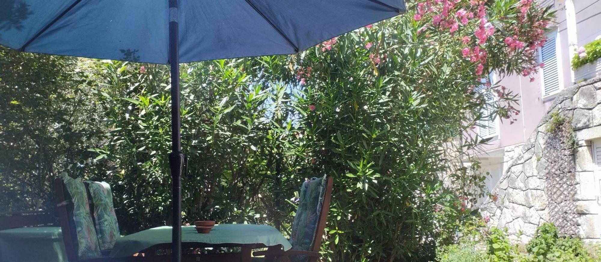 Apartment Apartma Belin With Garden And Private Parking